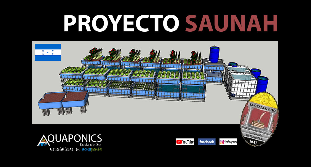 Project SAUNAH