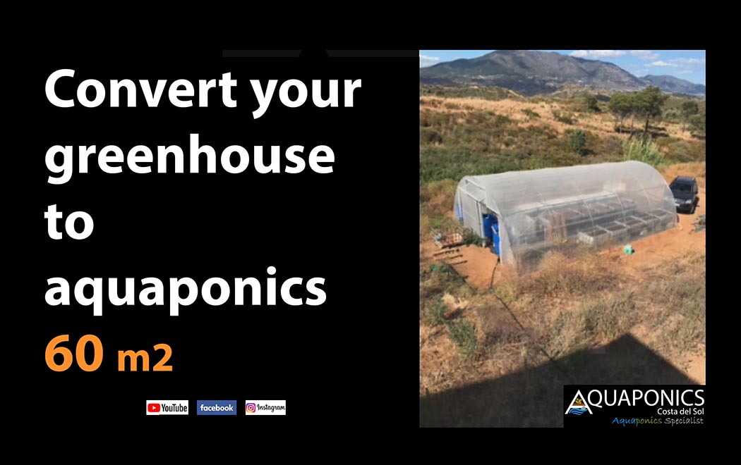 Greenhouse 60m2
